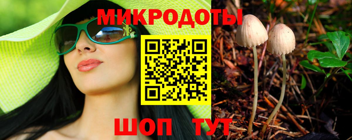 Псилоцибиновые грибы Magic Shrooms Свободный