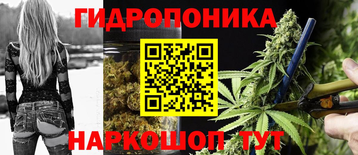 Шишки марихуана White Widow Свободный